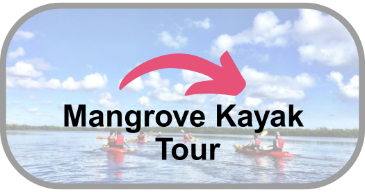 kayak button